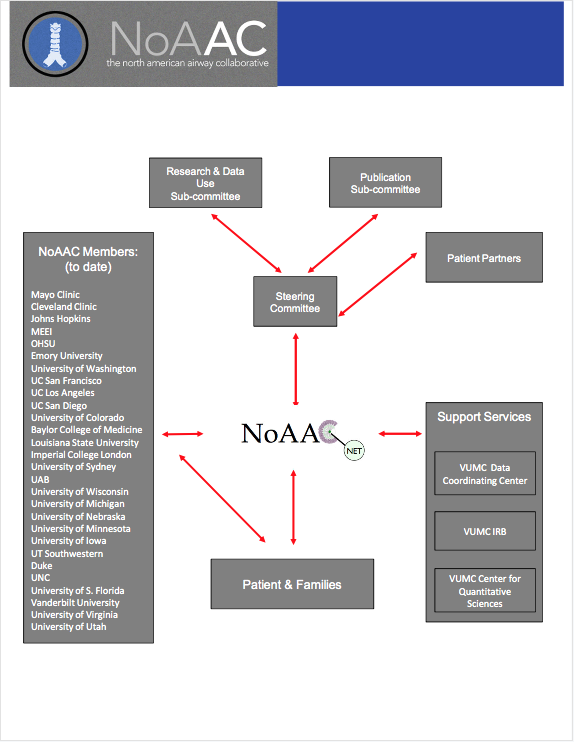 NoAAC Structure